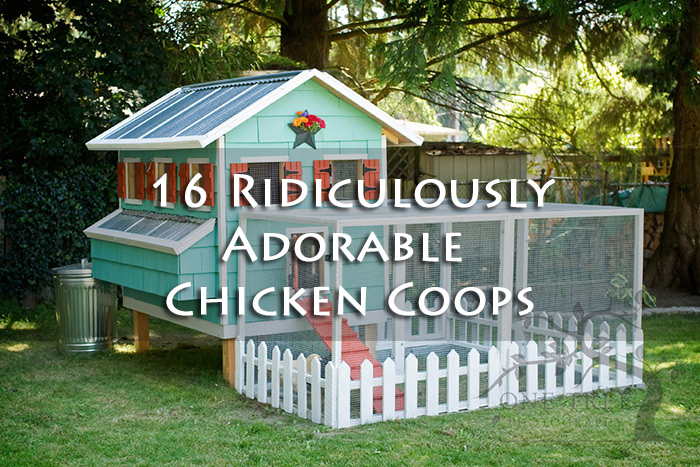 Here are 16 gorgeous little chicken coops that would make a nice 