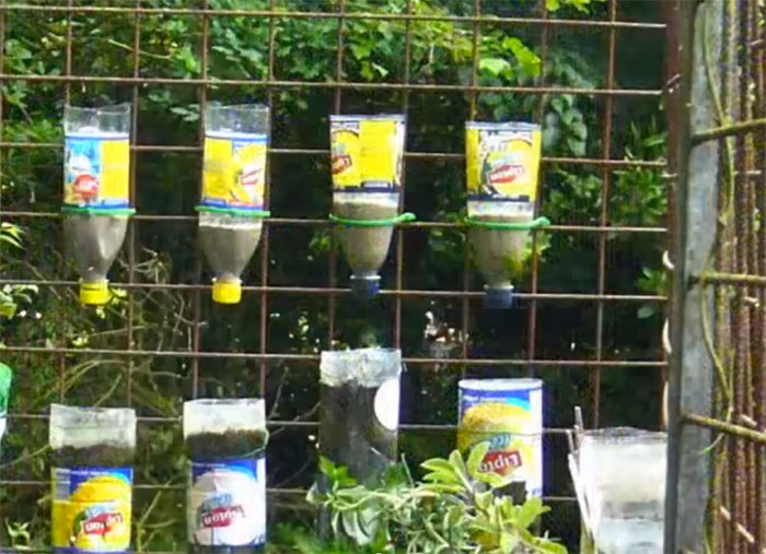  to grow vegetables and herbs in small spaces at home year after year