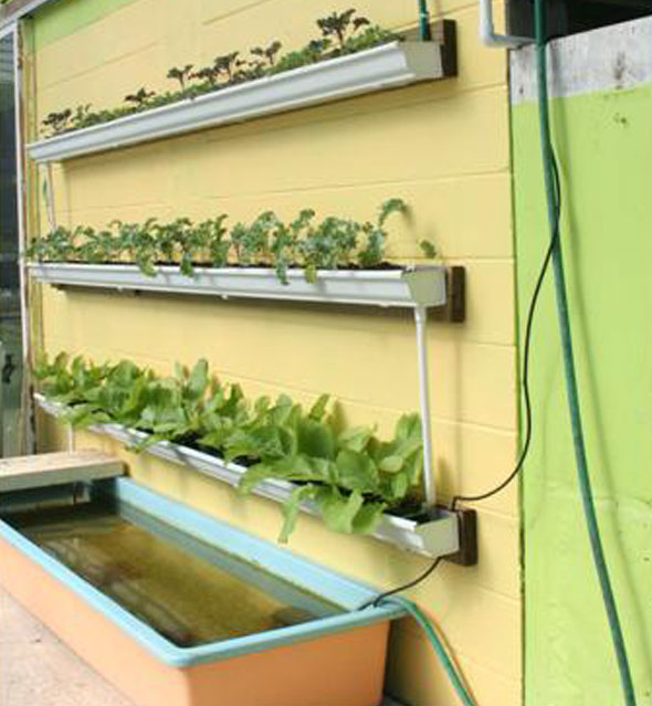 we have featured several vertical rain gutter gardens in previous
