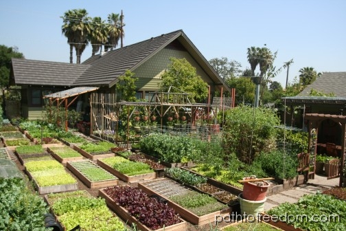 SOLAR POWERED VERTICAL AQUAPONICS SYSTEM