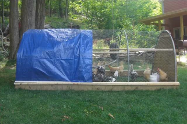 How To Build a Chicken Tractor to Make a Great Garden
