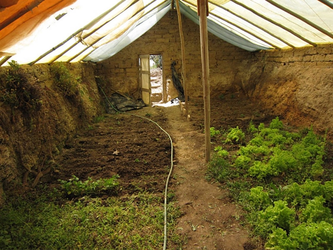 Underground year round gardening